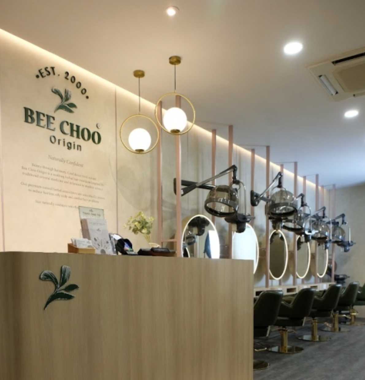 Bee Choo Origin
